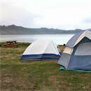 Pitch your tent right on the Alsea River in our grassy tent camping area.