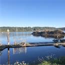 Our marina has direct access to Alsea Bay and Alsea River crabbing and fishing.